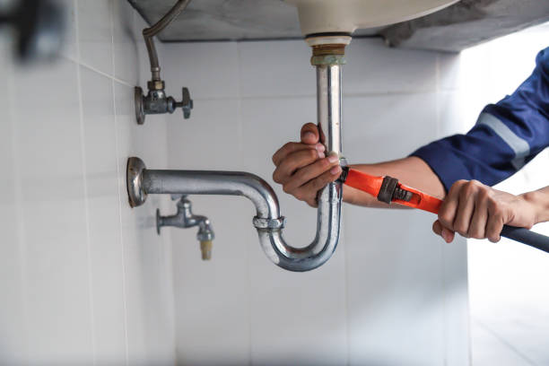 Best Clogged Drain Plumber  in Woods Cross, UT